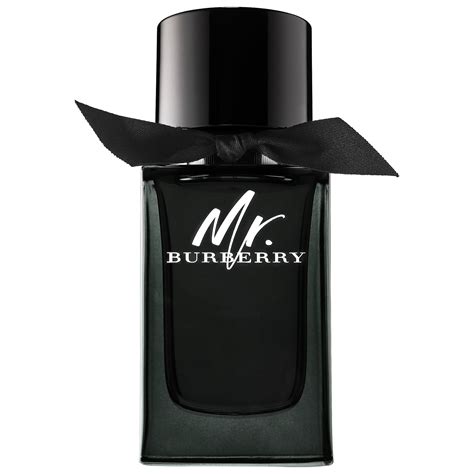 parfum mister burberry|mr Burberry perfume price.